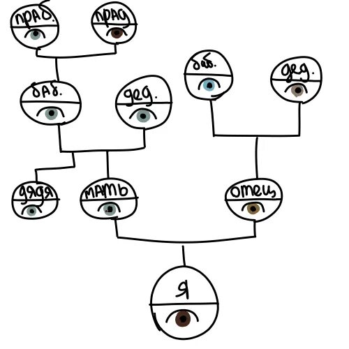 Схема родословной семьи биология. Родословная схема по генетике цвет глаз. Родословное дерево биология цвет глаз. Родословная биология 9 класс генетика. Древо семьи биология генетика