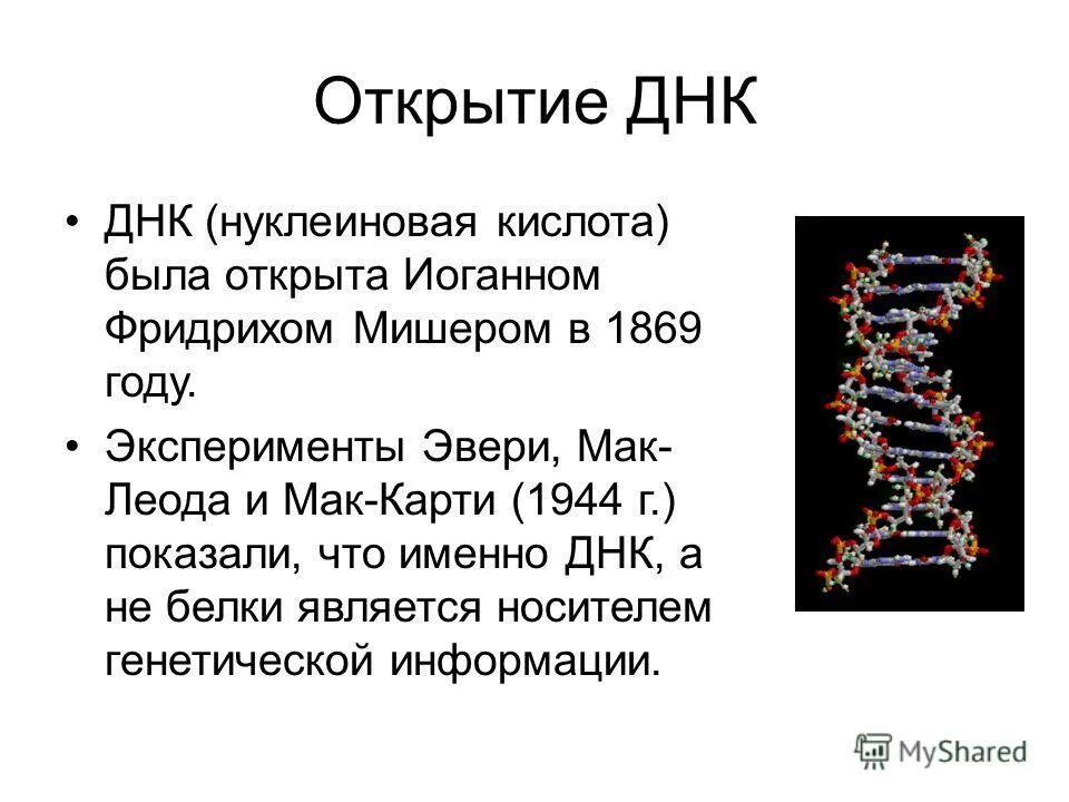 история открытия днк кратко. презентация фридрих мишер. фридрих мишер открытие днк кратко. значение открытия днк. что такое днк простыми словами.