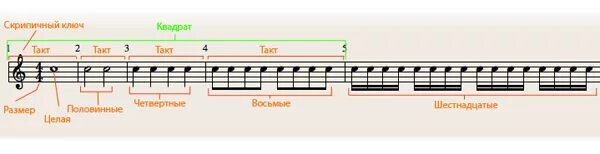 такт тактовая черта размер 2/4. такт что это. такт что это. такт что это. такт что это.