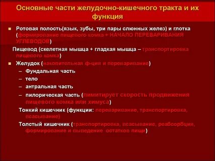 Функции ротовой полости и пищевода