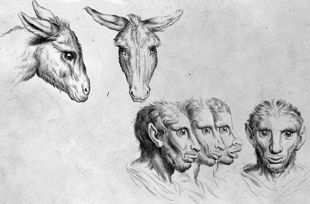 Лица разных животных