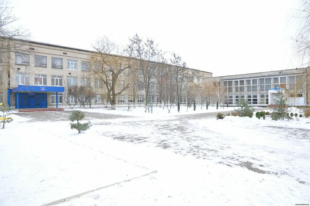 Школа 103 телефон. Моу сош 103 г макеевка. сайт школы 103 макеевка. школа 57 города макеевки. школа 24 макеевка.