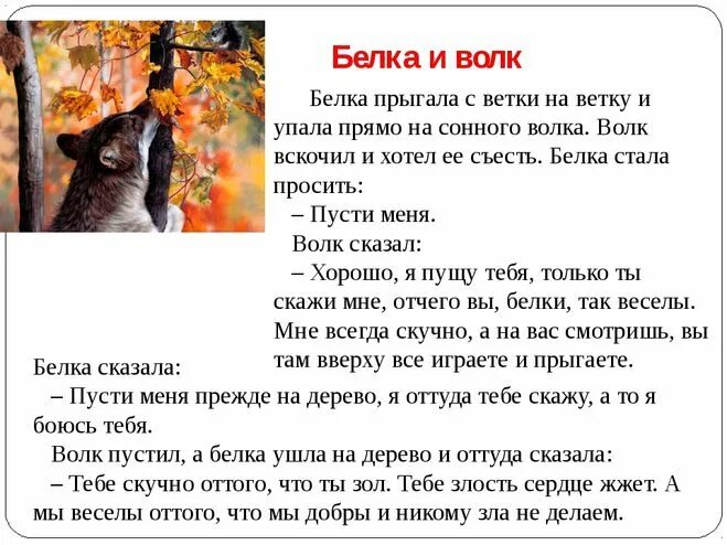 Ушинский белка и волк. Лев Николаевич толстой басня белка и волк. Лев Николаевич толстой рассказ белка и волк. Сказки Льва Николаевича Толстого белка и волк. Басня Льва Николаевича Толстого белка и волк.