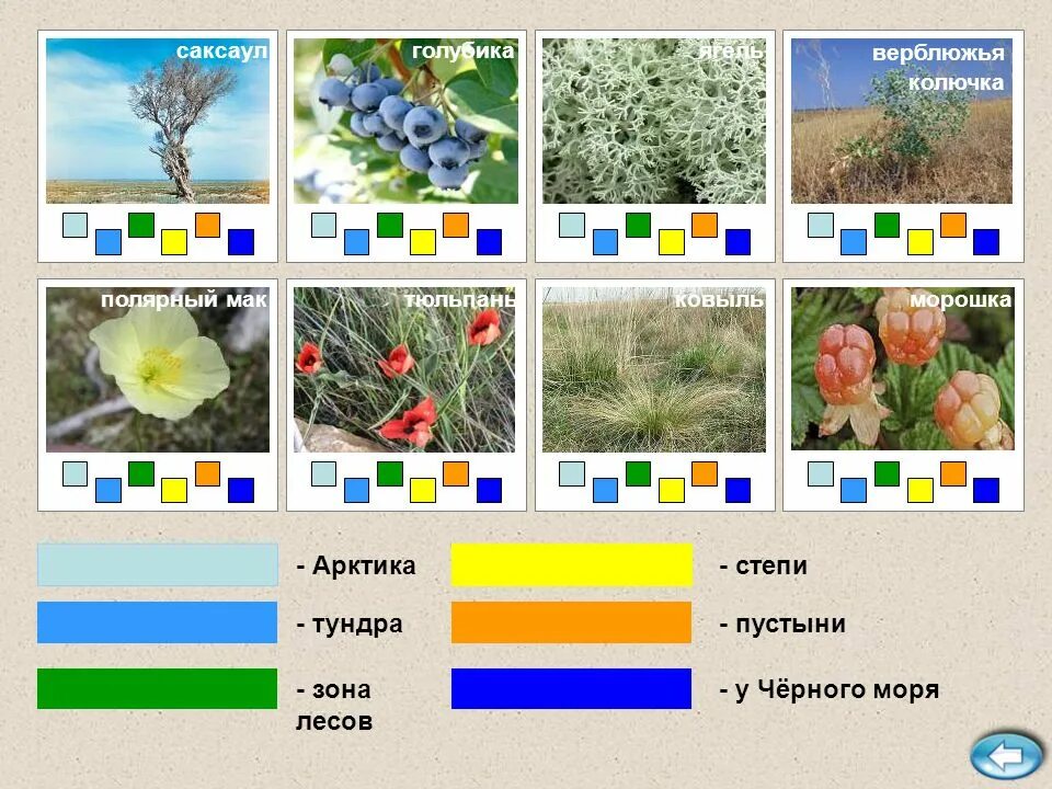 Игры природные зоны россии