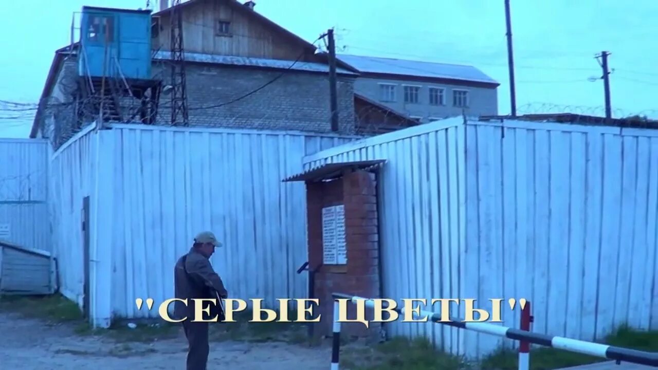 Белый лебедь соликамск песни. Зона белый лебедь соликамск. Белый лебедь соликамск песни. Белый лебедь соликамск. Белый лебедь яркуль.
