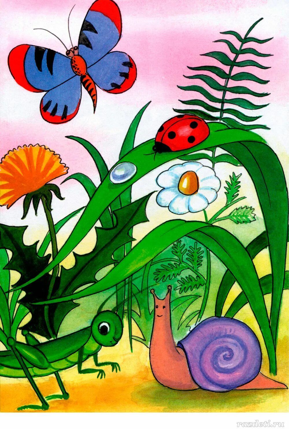 Картинки с насекомыми для детей. Мир насекомых для детей. Насекомые иллюстрации для детей. Насекомые для дошкольников. Иллюстрации насекомых для детского сада.