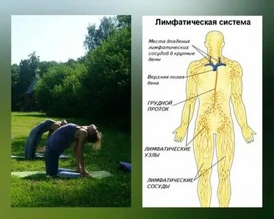 Лимфа массаж видео