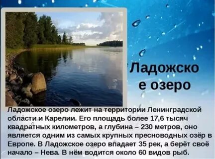 Интересные факты о ладожском озере