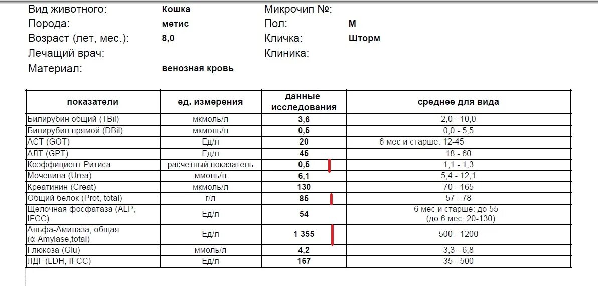 Анализ крови на белок. Общий белок анализ. Белок в биохимическом анализе. Общий белок в анализе крови.