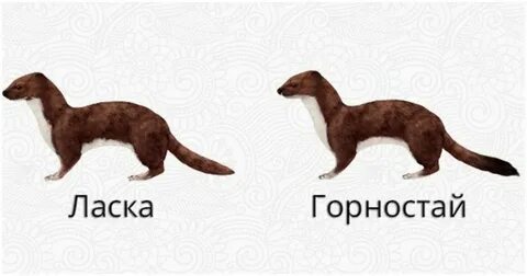 Забота ласка и опека 4 буквы