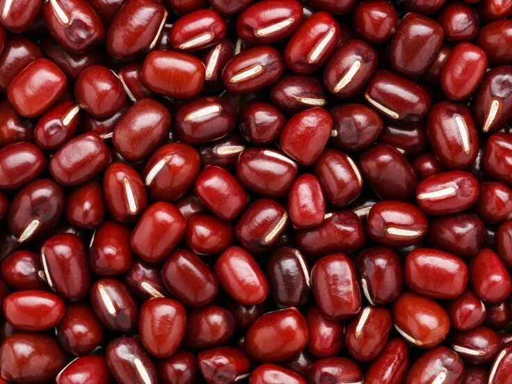 Check bean. Check bean