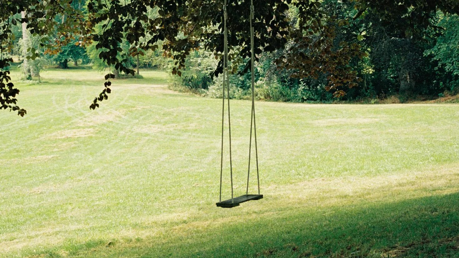 Swing tree
