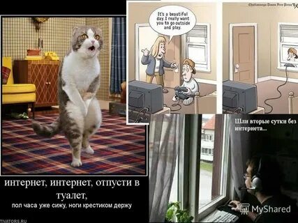 Отпусти в зал