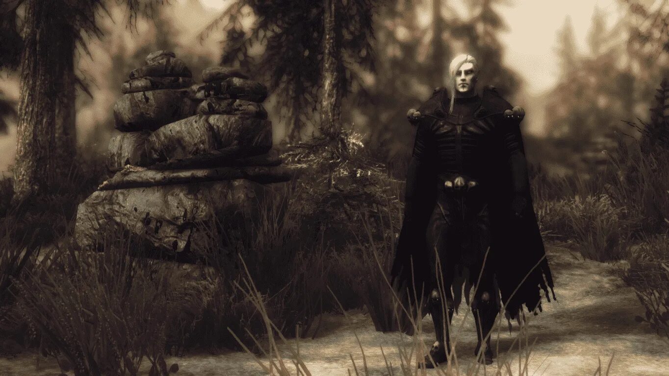 Скайрим компаньон некромант. Скайрим роба некроманта. Скайрим роба некроманта. Мод на некромантию. Некромантия tes.