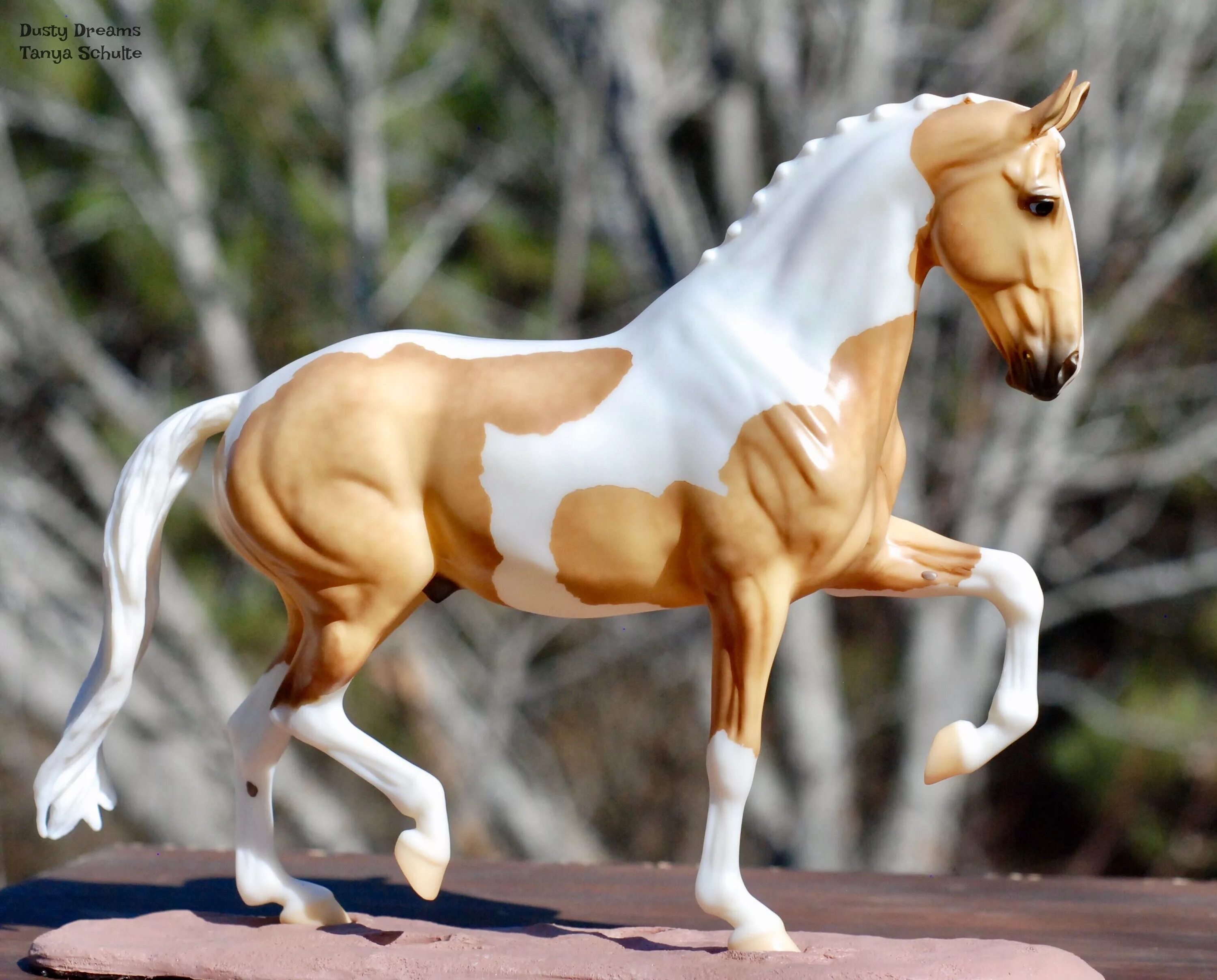 Horses model