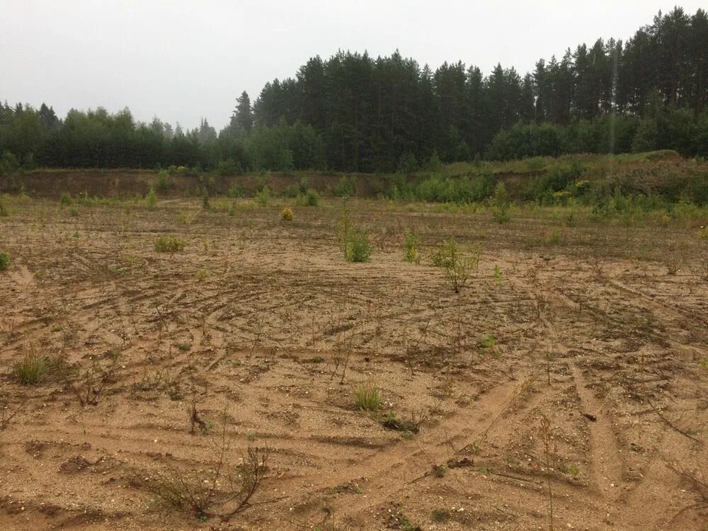 Восстановление нарушенных земель. Почвы пензенской области. Рекультивация земли сельхозназначения. Рекультивация земли сельхозназначения. Техническая рекультивация.