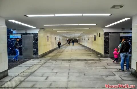 М петровско разумовская