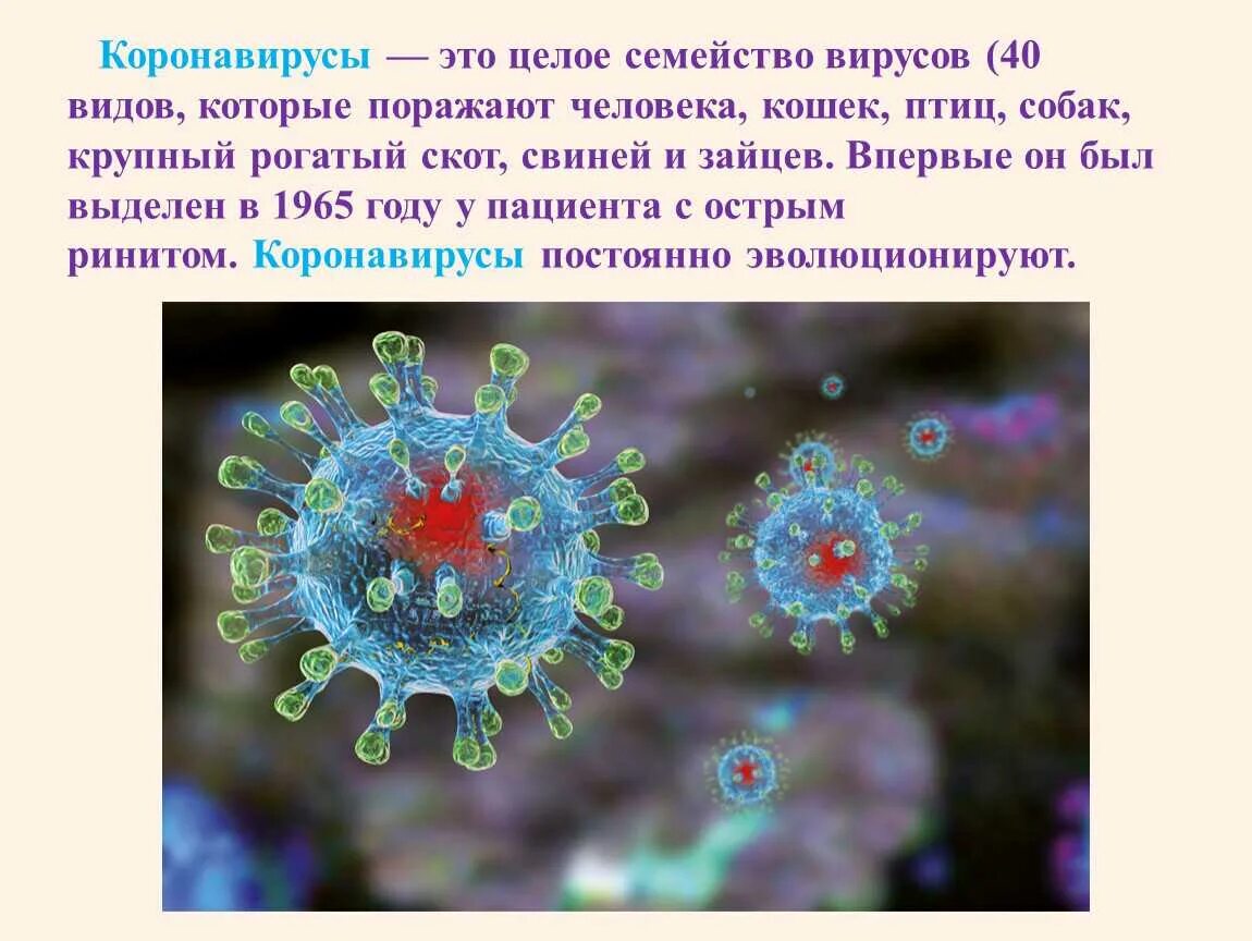 Картинки про вируса. Коронавирус вирус строение рисунок. Вирус коронавирус ковид-19. Коронавирус 19 строение вируса. Коронавирус ковид 19 строение.