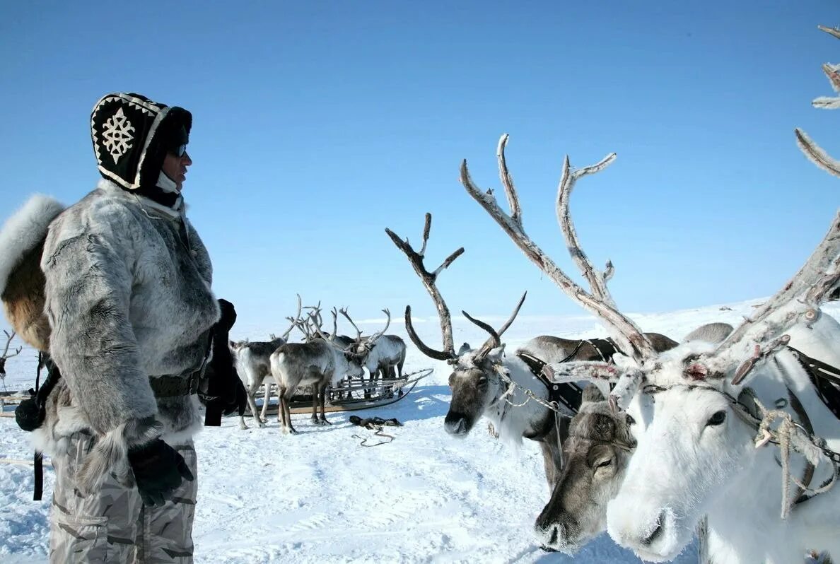 Крайнем севере а также в. Работники крайнего севера. Местность севера.