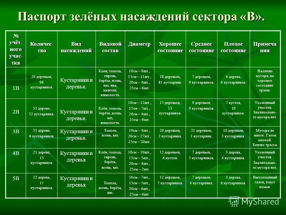 состояние зеленых насаждений