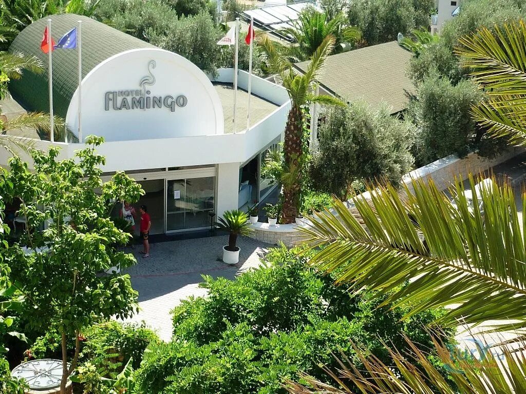 Flamingo hotel oludeniz. Отель Фламинго Фетхие. Отель Фламинго Олюдениз Турция. Flamingo Hotel Oludeniz 3*. Фламинго Олюдениз Турция 4.