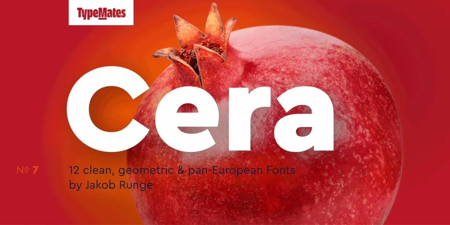 Cera Pro. Шрифт Cera. Cera Pro кириллица. Cera Pro Bold.