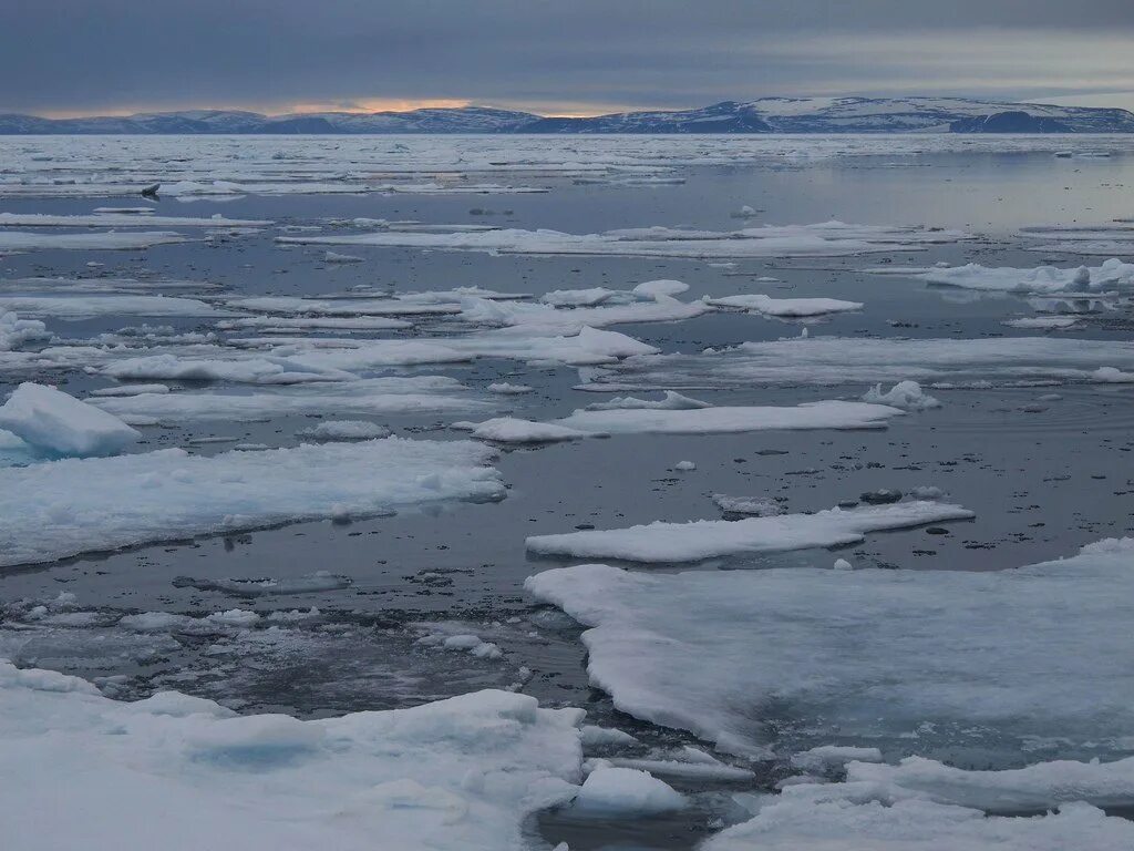 Западная сибирь океан. Незамерзающие моря Северного Ледовитого океана. Хайпудырская губа. Ледовитый океан фото. Отмель Северного Ледовитого океана.