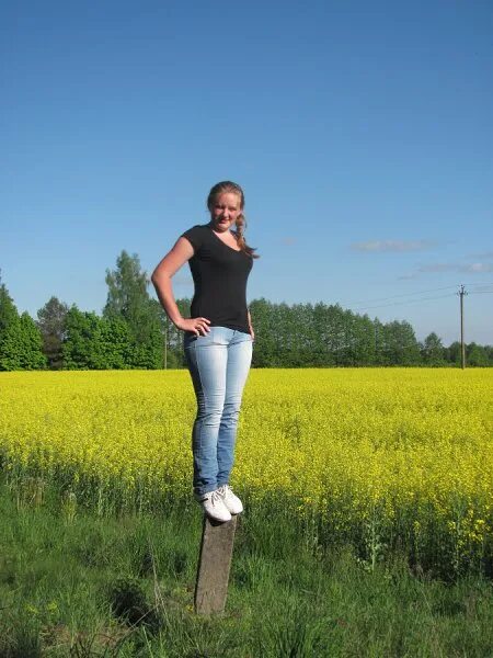 Деревня мутина киренский район. Деревня лена. Околица деревни. Деревня лена. Река лена деревня вишняково.