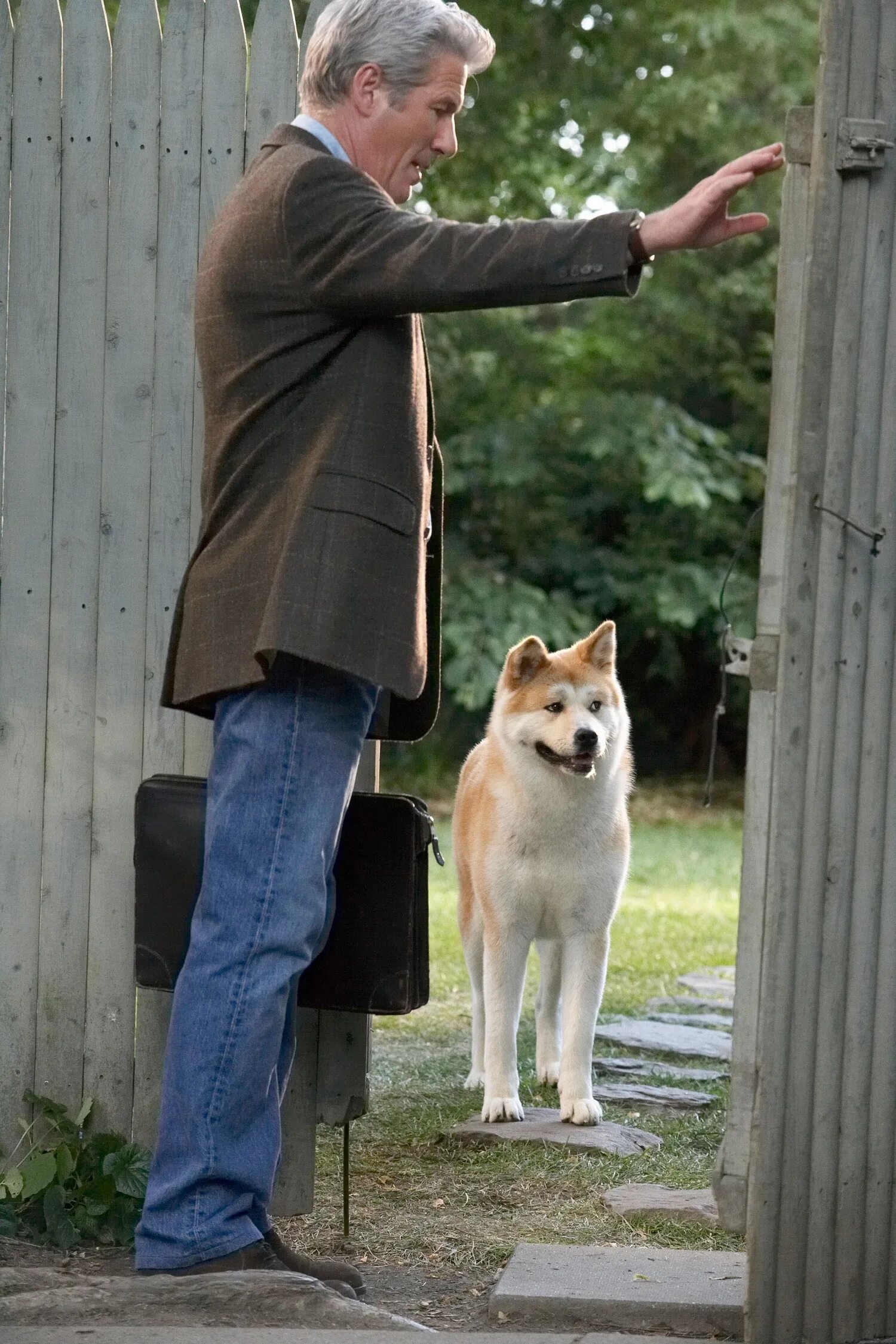хатико фильм. японская собака акита. какой породы собака снималась в хатико. акита-ину. японская акита.