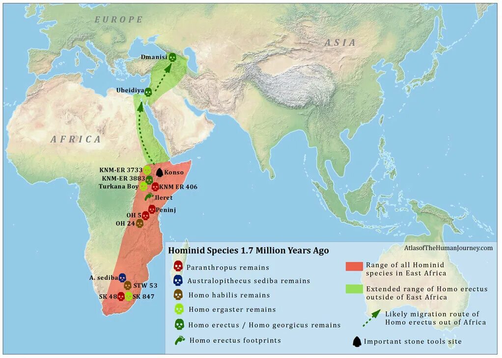 Денисовцы ареал обитания. Карта расселения homo sapiens sapiens. Пути расселения древних людей на карте 5 класс. Место обитания людей. Homo erectus карта распространения.