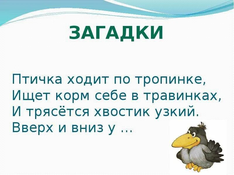 Иди за птичкой. Птичка ходит. Ходит птичка весело по тропинке бедствий. Как ходят птицы. Веселые загадки птица и тарелка.