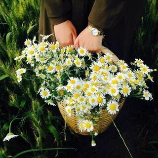 Букет жизни