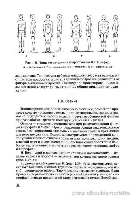 Определение типа телосложения. Типы телосложения штефко. как определить тип телосложения. возрастной тип телосложения. типы телосложения у подростков.