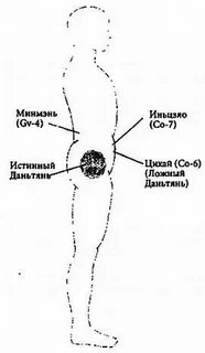 Нижний даньтянь