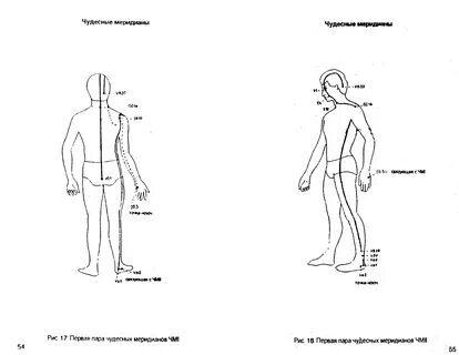 Меридианы схемы и направления