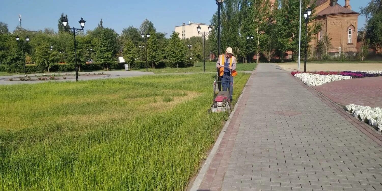 МБУ города Кургана «дирекция парков и скверов». Благоустройство парков и скверов. Парк сквер. Дирекция парков и скверов Махачкала.