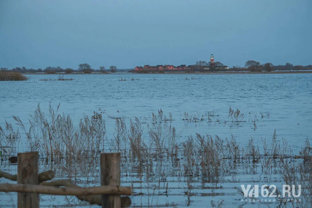 Большая вода рязань. Разлив оки в константиново 2025. разлив рязань 2025. разлив оки в рязани 2025. разлив оки подмоклово 2025.