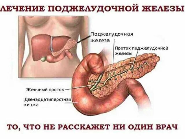 Болит живот поджелудочная железа. Болит живот поджелудочная железа