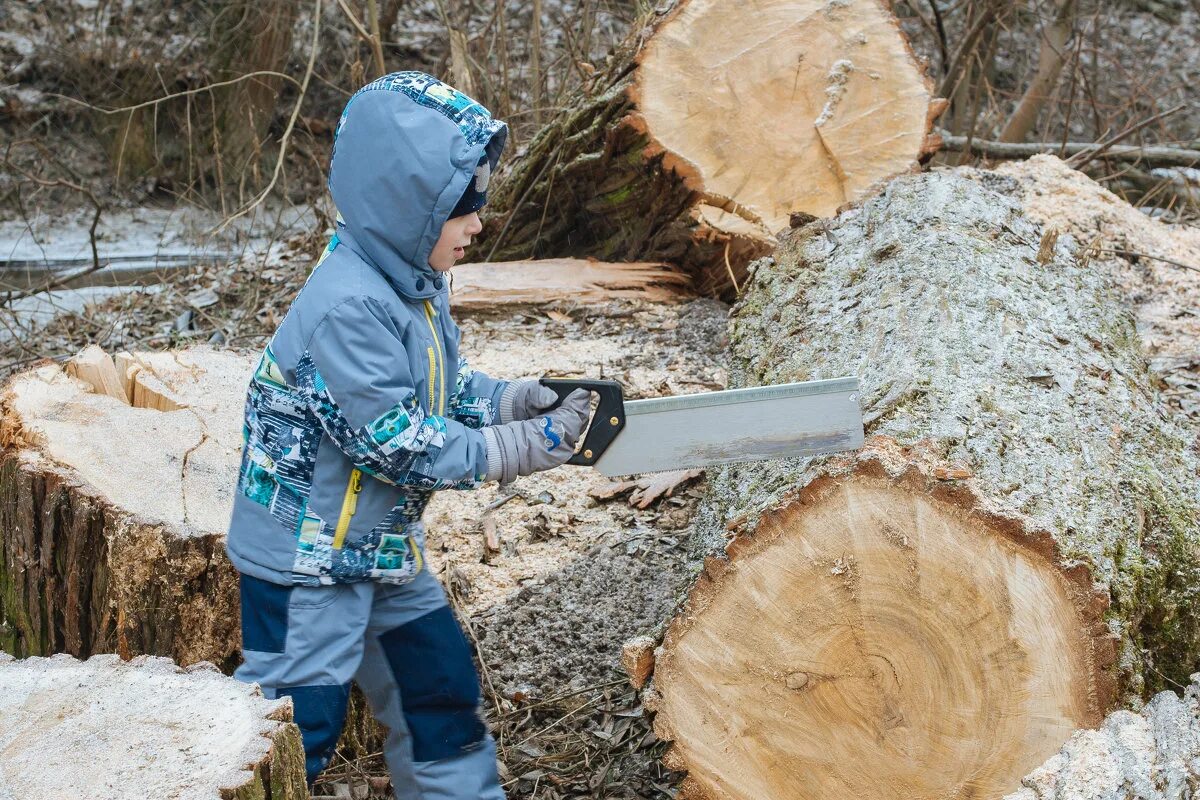 Вальщик деревьев. Рубка деревьев. Вальщик с бензопилой. Штиль валка дерева. Вырубка деревьев на участке.