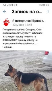 Потерянные звонки