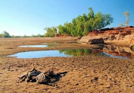 В какой водоем впадает или пересыхает река