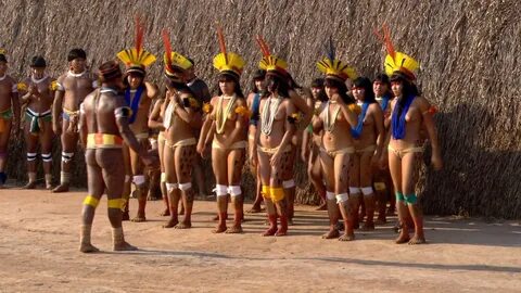 Amazon Tribes Girls Pussy.