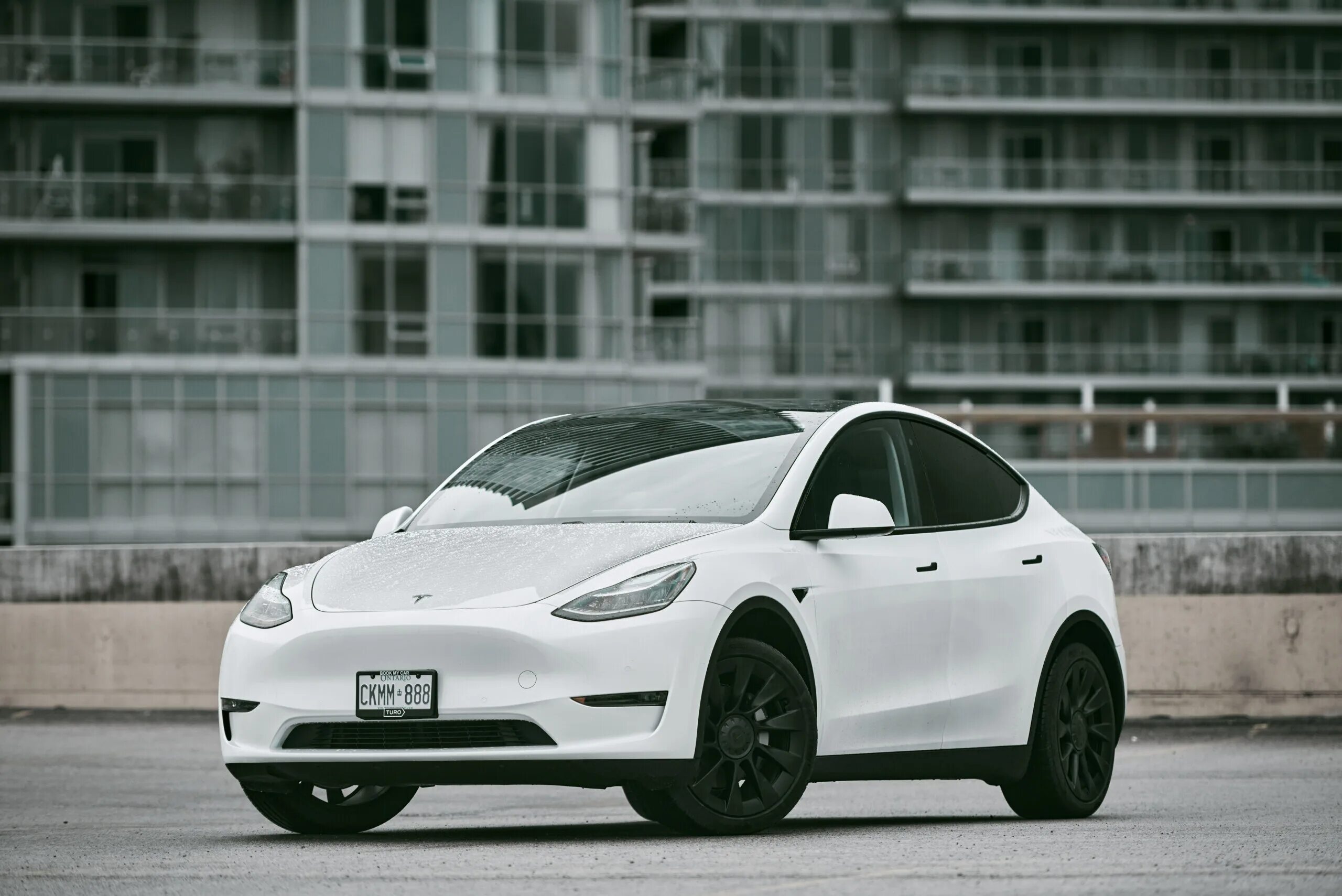 Model y p. Byd ev 2025. тесла модель y. byd d1 2025. tesla model 3 2025.
