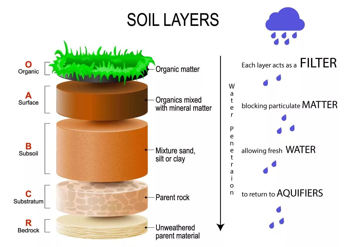 Eigen layer. Слои грунта. soil layers. почва картинки для презентации. почва фильтр.