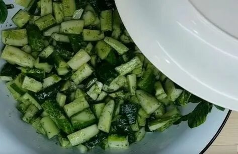Икра из огурцов на зиму рецепты переросших