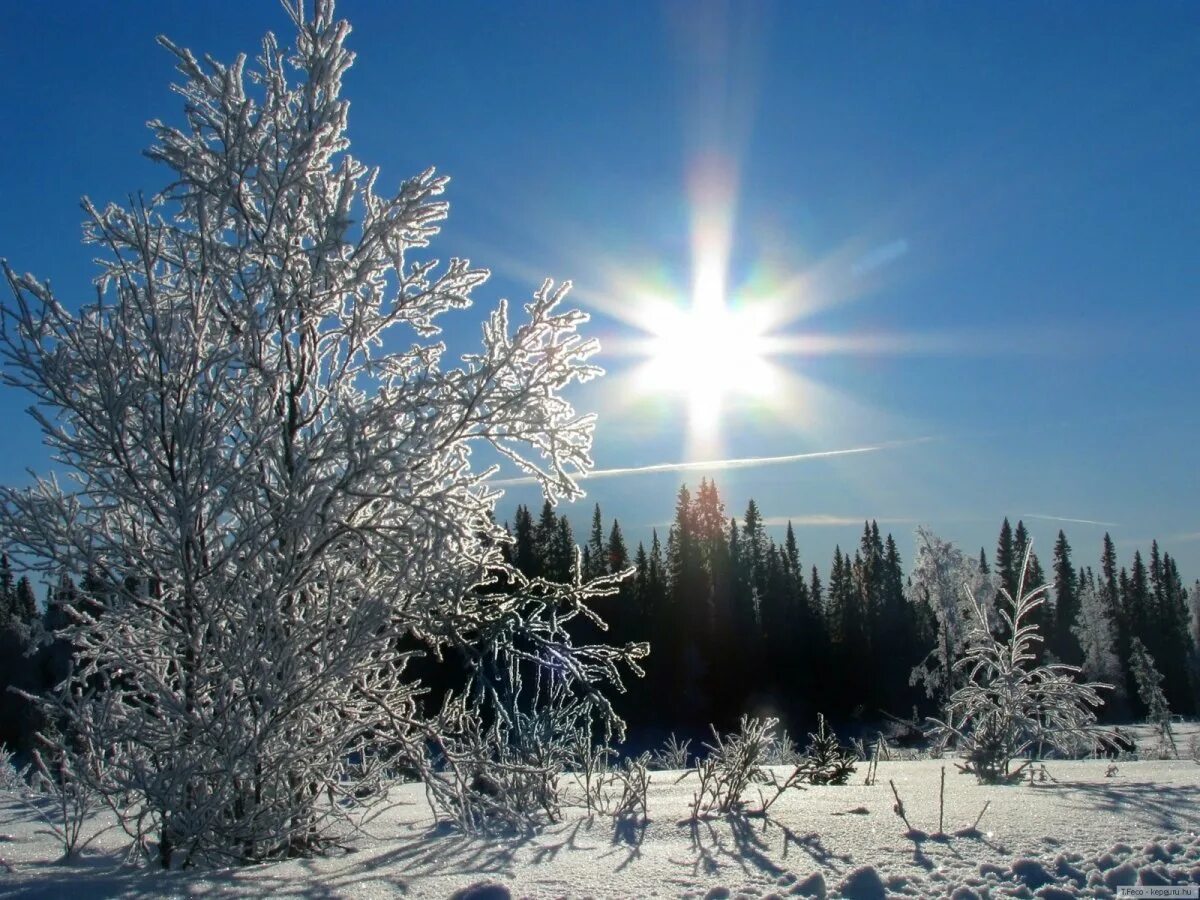 Зимний день ответы. Зимнее солнцестояние. Солнце зимой. Зимнее солнцестояние фото. День зимнего солнцестояния.