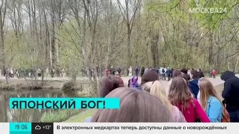 Сад очередь московская