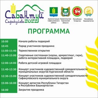 Программа зеленодольск