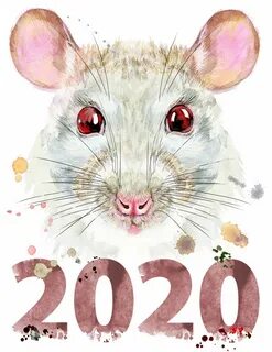 Мыши 2020
