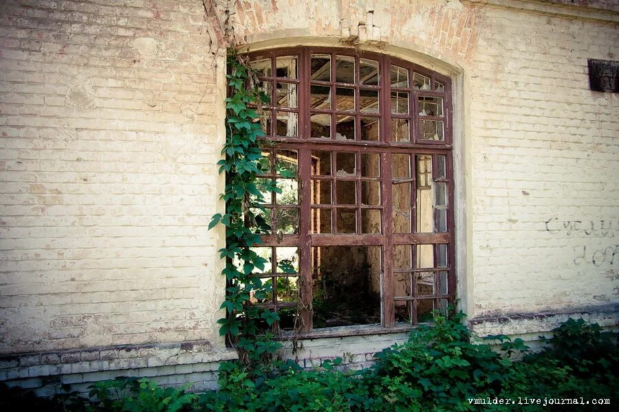 Воронежская психиатрическая больница. Поселок Орловка психиатрическая больница.